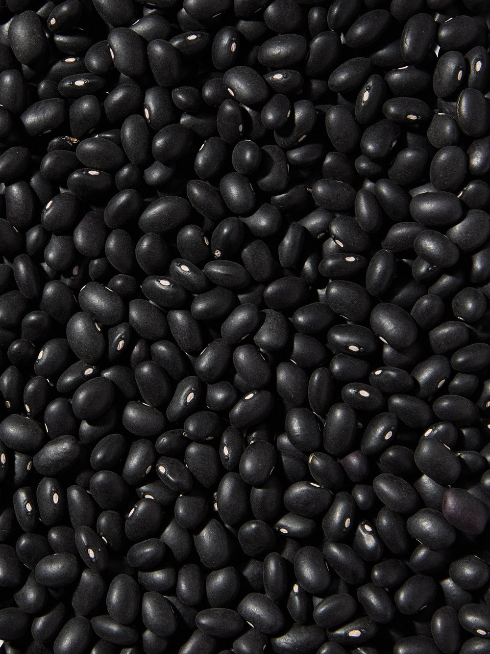 Organic Black Beans