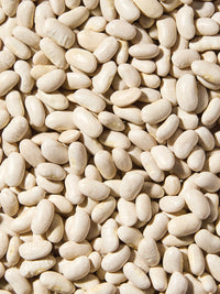 Organic Cannellini Beans