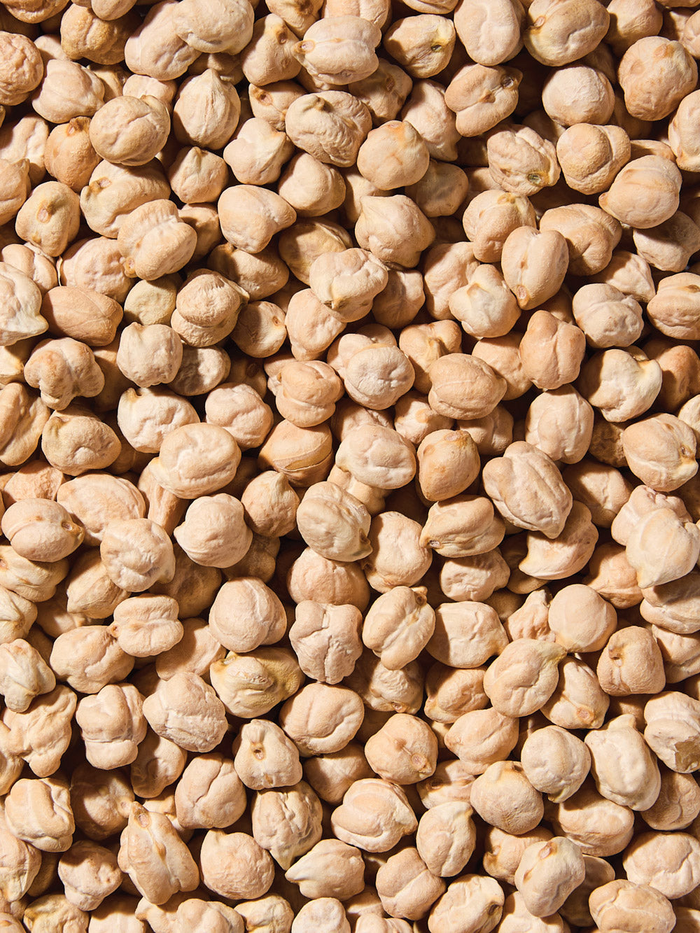 Organic Chickpeas (Garbanzo Beans)