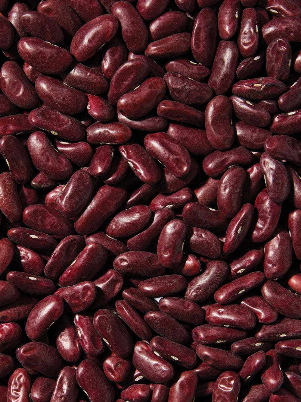 Organic Dark Red Kidney Beans