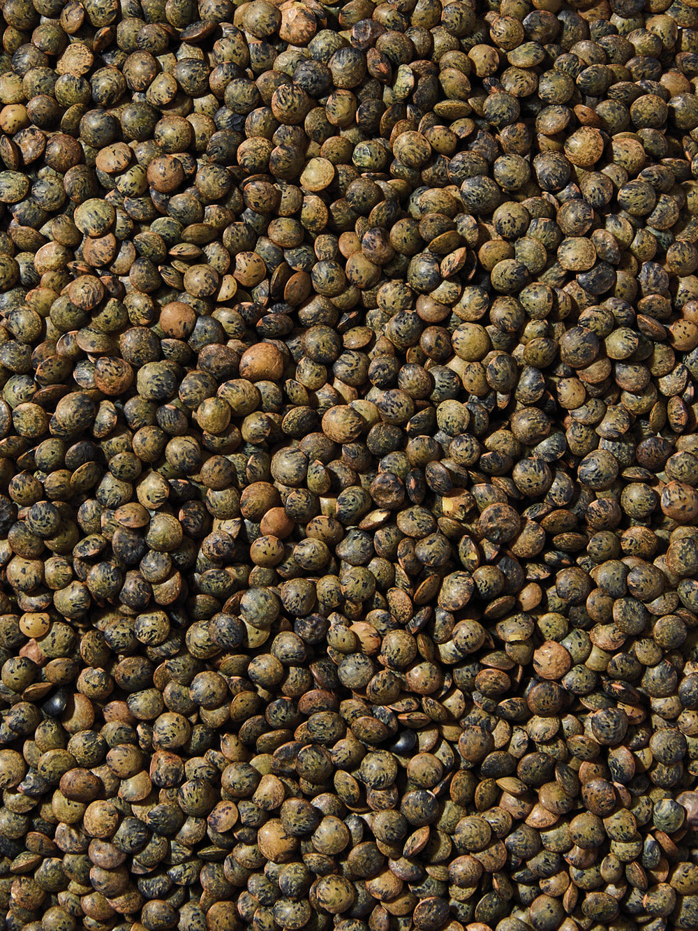 Organic French Lentils