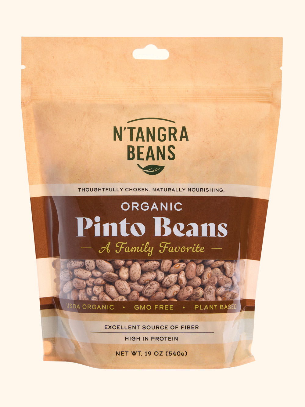 Organic Pinto Beans