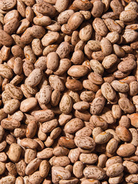 Organic Pinto Beans