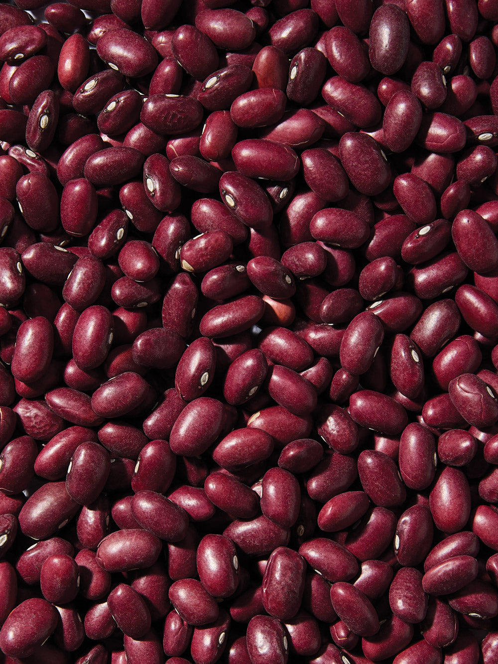 Organic Small Red Chili Beans