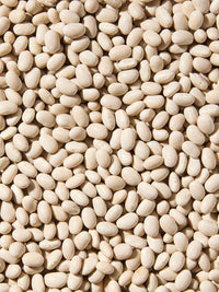 Organic Small White (Navy) Beans